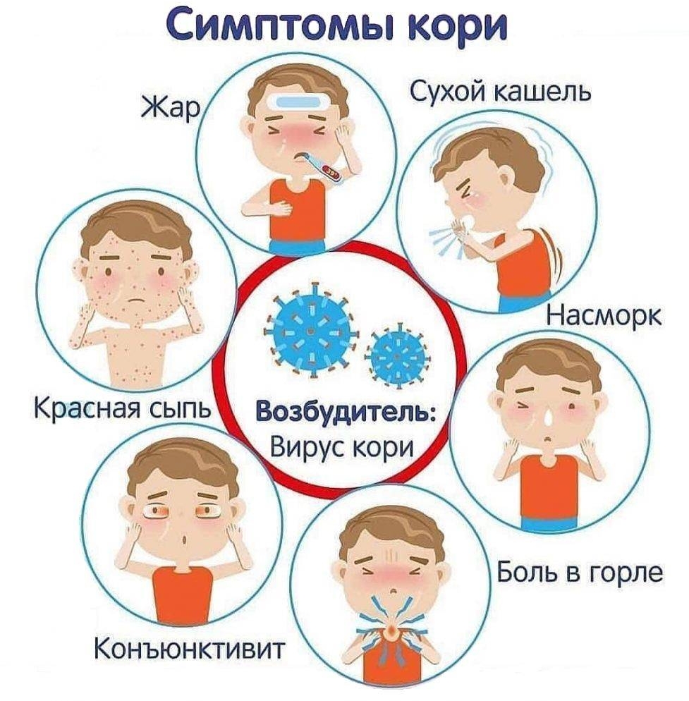 ГБУЗ Городская поликлиника № 111 для взрослых - Санкт-Петербург, ул.  Ольховая , д. 6 - p111.spb.ru